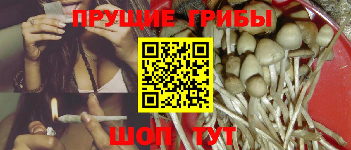 Галлюциногенные грибы GOLDEN TEACHER  Вход с VPN  Сегежа  Псилоцибиновые грибы мухоморы 